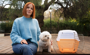 Crate and Potty Training Puppy